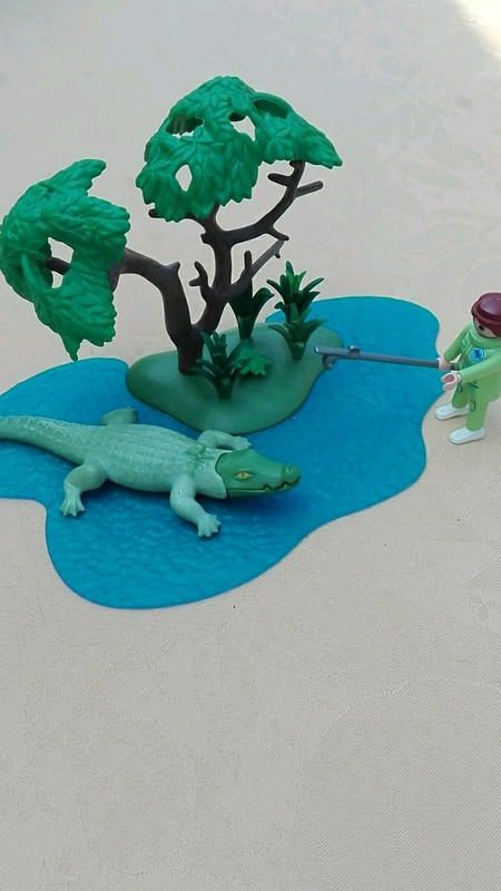 Playmobil bateau crocodile
