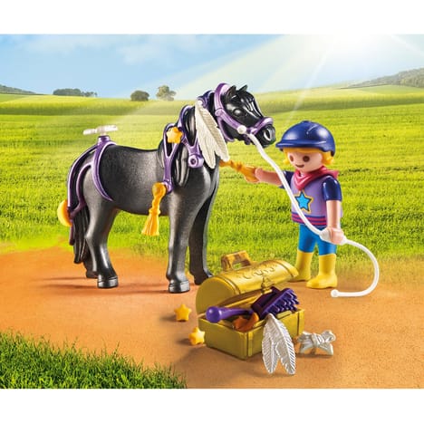 Auchan playmobil poney