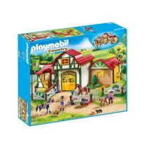 Playmobil ecole jouet club