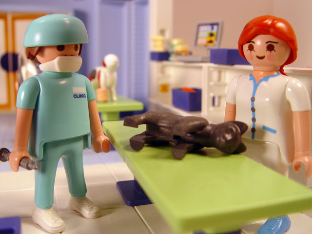 Cdiscount playmobil veterinaire