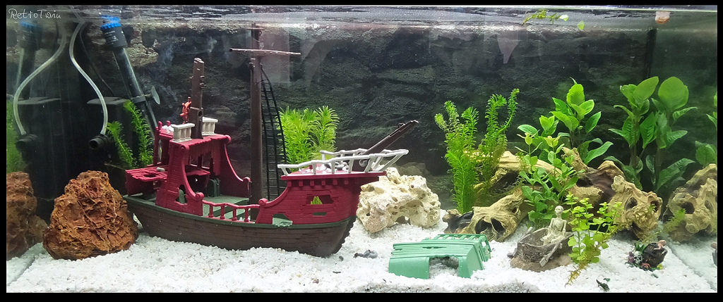 Playmobil im aquarium