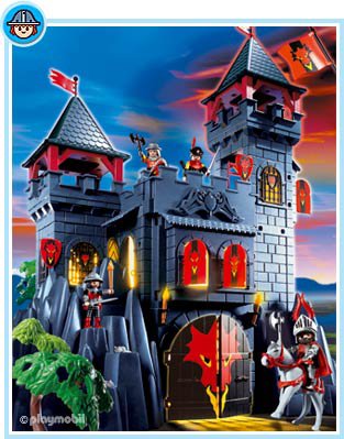 Chateau playmobil dragon notice