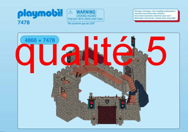 Playmobil chateau reine des neiges