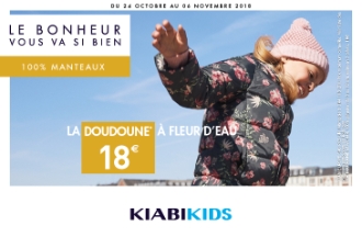 Exposition playmobil geant espace anjou