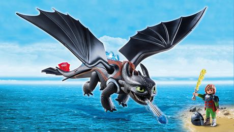Playmobil dragons hiccup and toothless playset