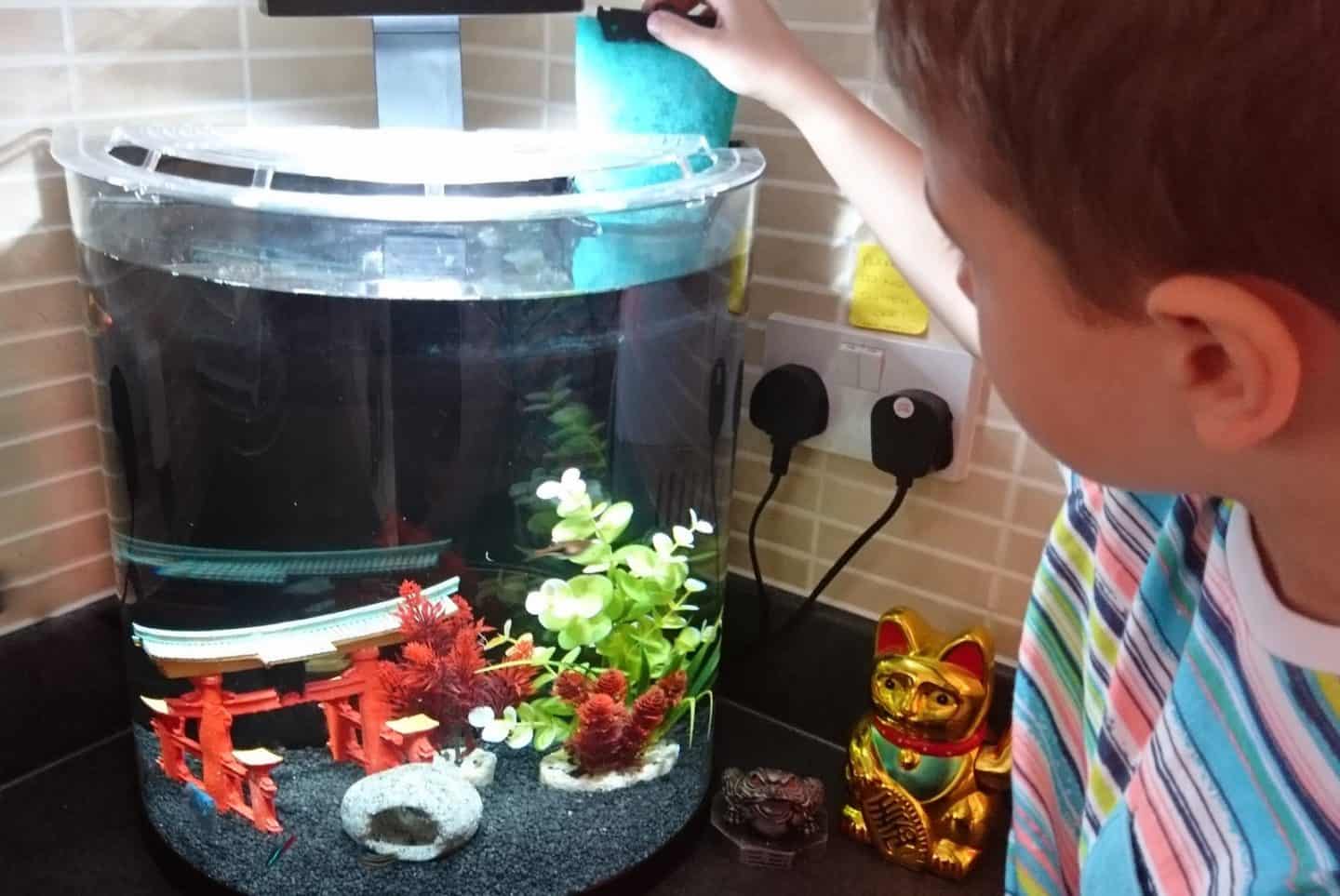 Playmobil aquarium tetra
