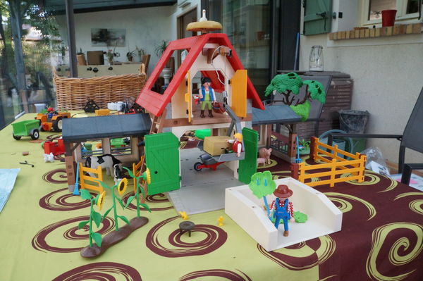 Playmobil la ferme occasion