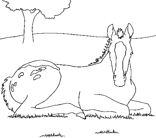 Dessin de playmobil cheval