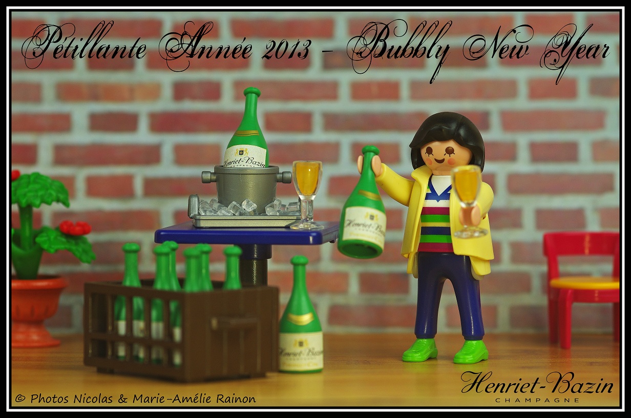 Playmobil wish