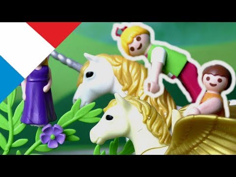 Dessin anime playmobil fee