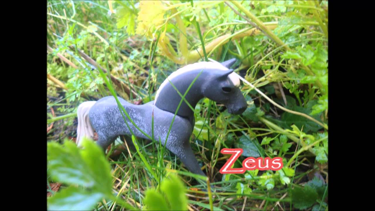 Dessin animé de playmobil cheval