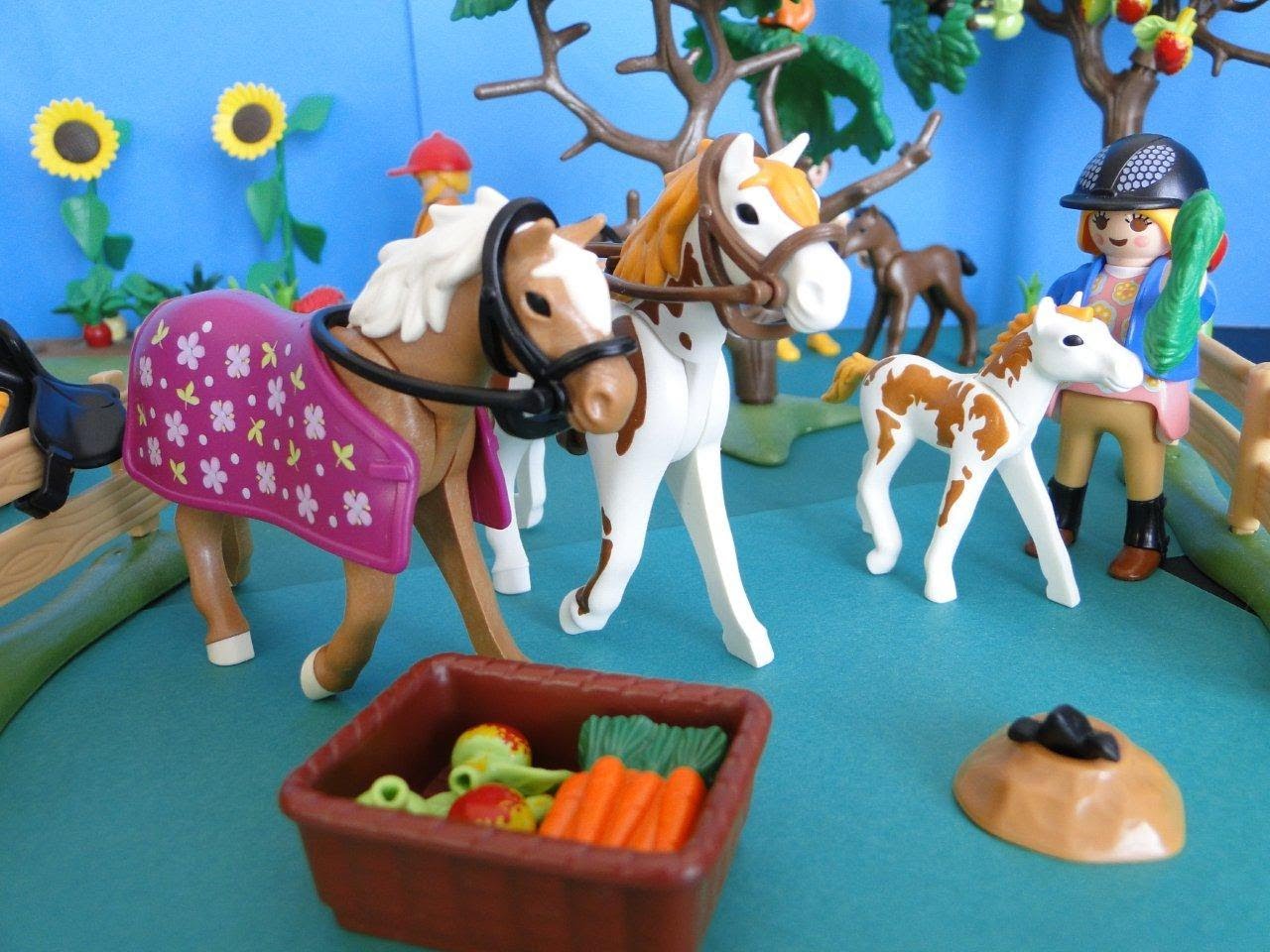 Dessin animé playmobil poney