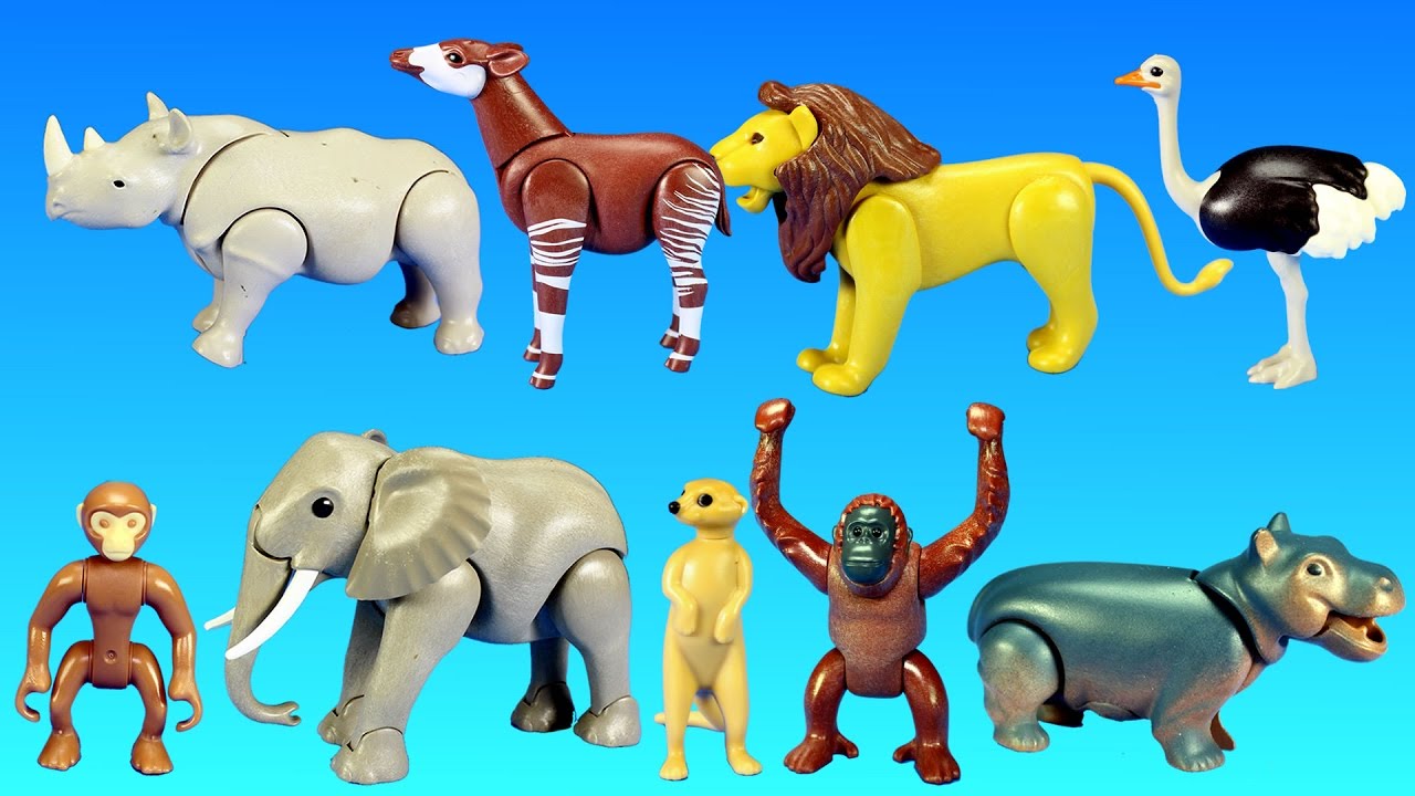 Playmobil safari video