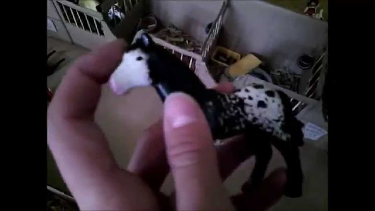 Playmobil chevaux visite