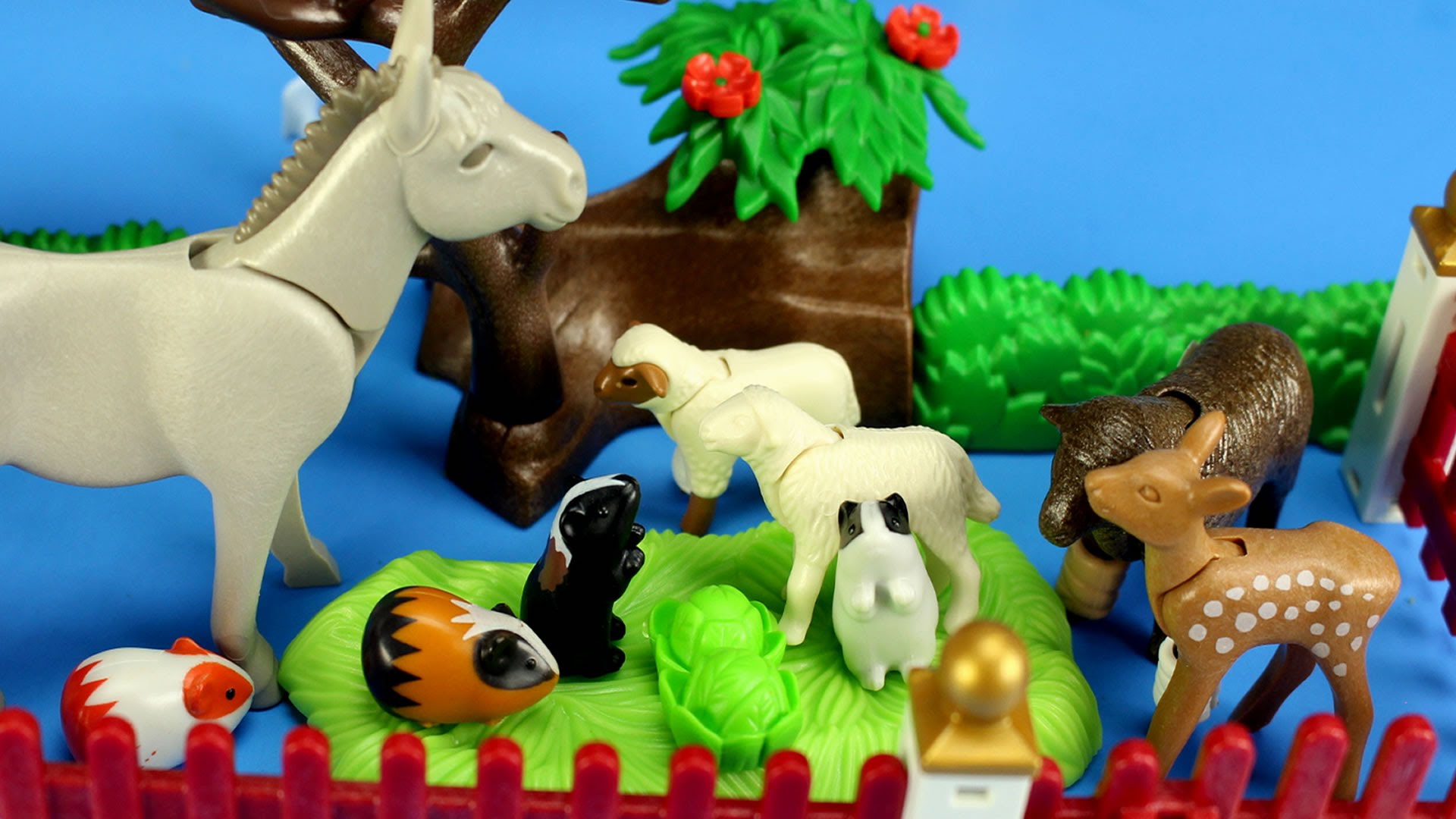Playmobil zoo race toy time