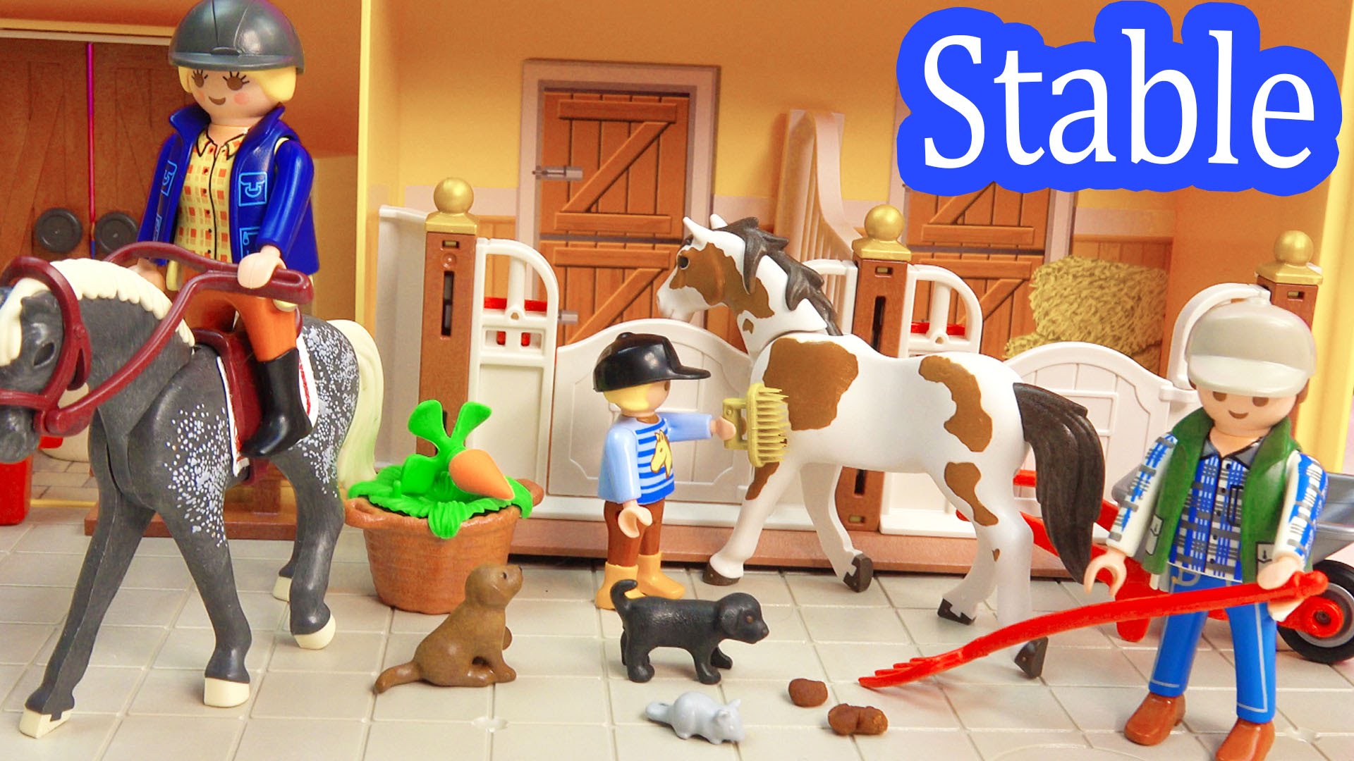 Playmobil dr house