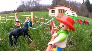 Playmobil le cheval perdu