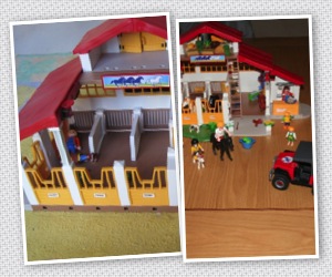 Jeux playmobil equitation
