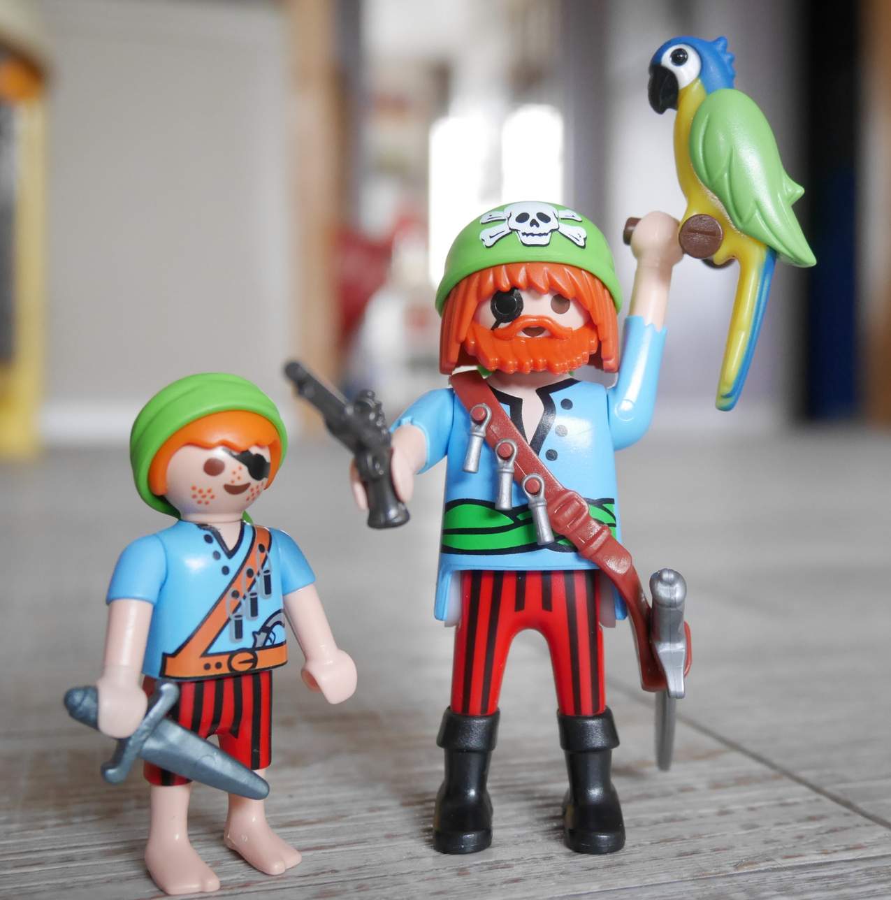 Bateau playmobil le bon coin