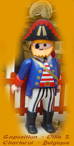 Avion playmobil geant