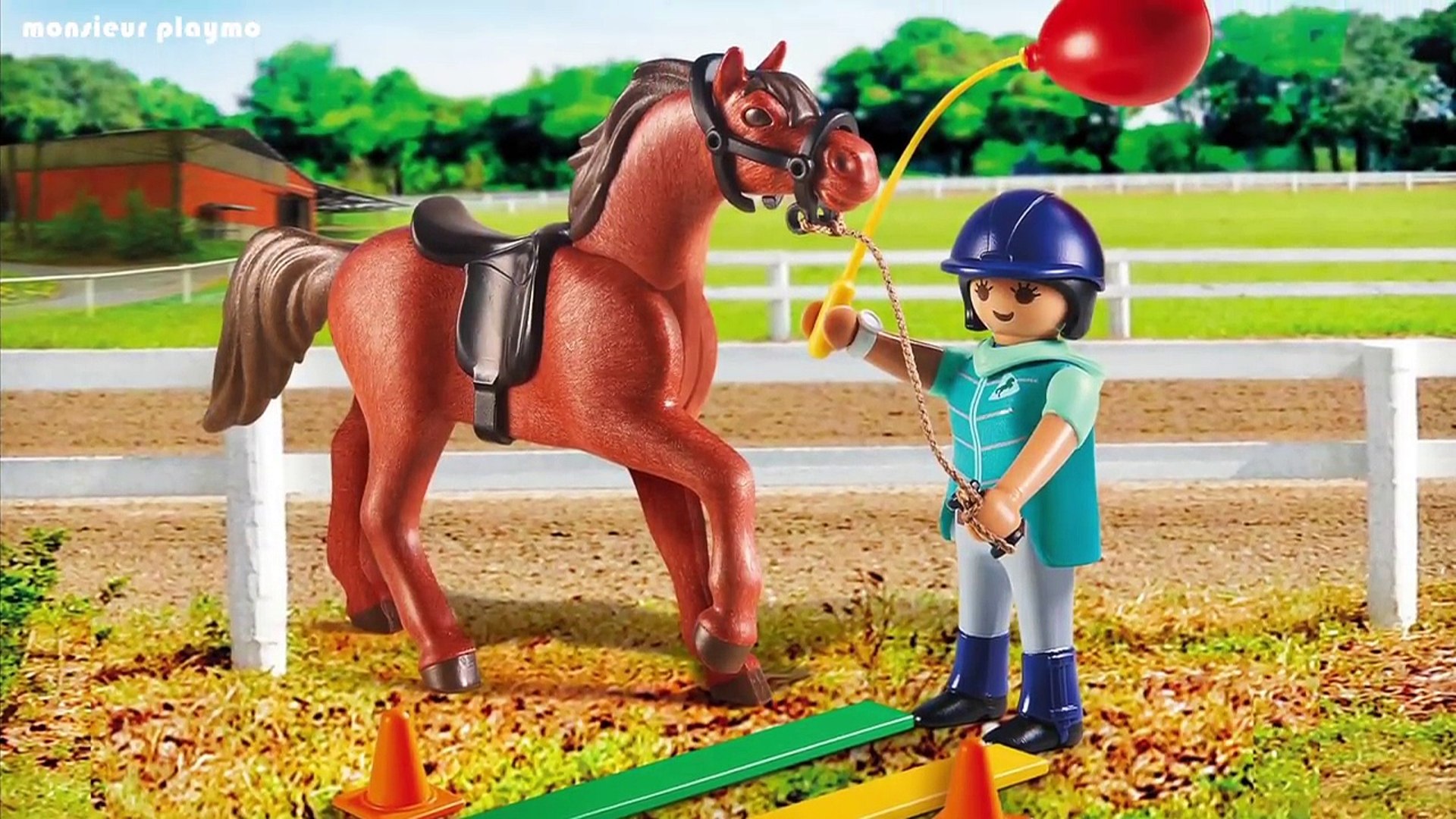 Film playmobil en francais centre equestre