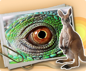 Jeux de puzzle trés difficile gratuit