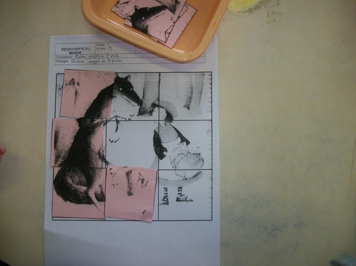 Compétences puzzle maternelle