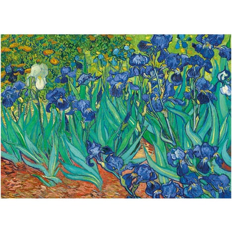 Puzzle 1000 pièces pas cher