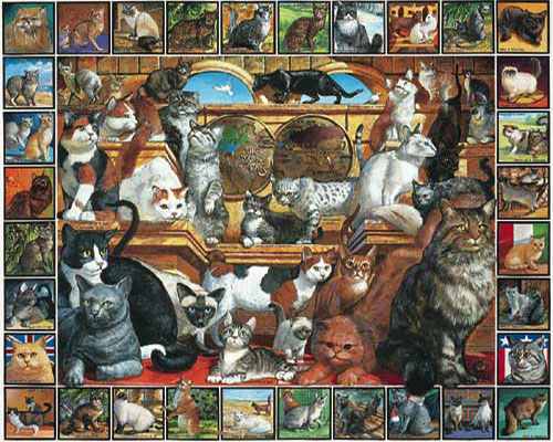 Cat puzzle