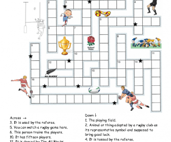 Puzzle rugby