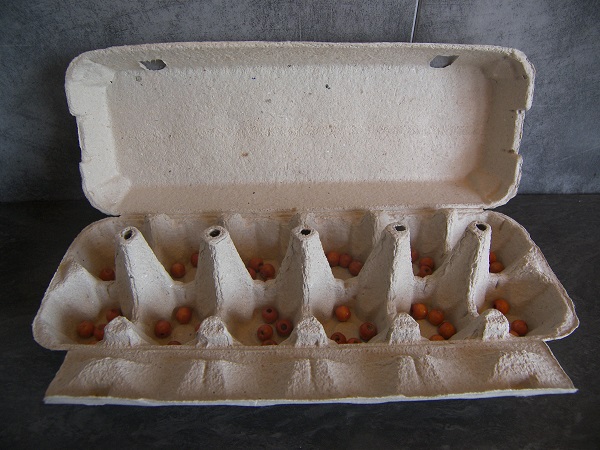 Jeux de société africains