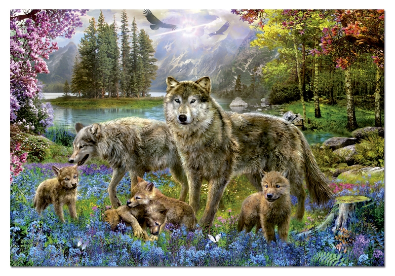 Puzzle educa 500 pièces