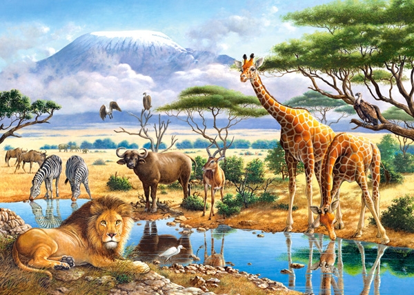 Puzzle animaux 2000 pieces