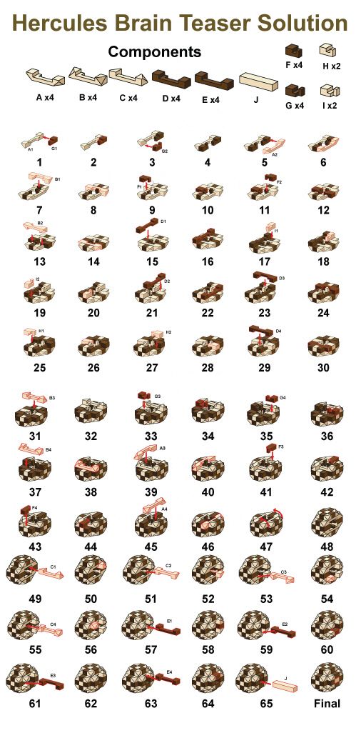 Brain puzzle solution