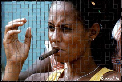 Puzzle manie nantes