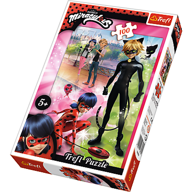 Puzzle miraculous