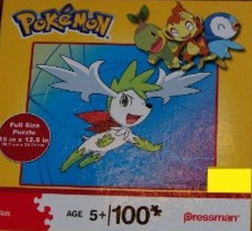 Puzzle pokemon 100 pieces