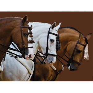 Jeux de puzzle de chevaux