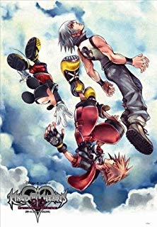 Kingdom hearts 2 puzzle