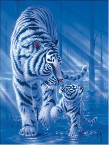 Puzzle tigre