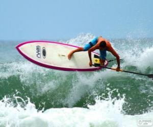 Puzzle surf
