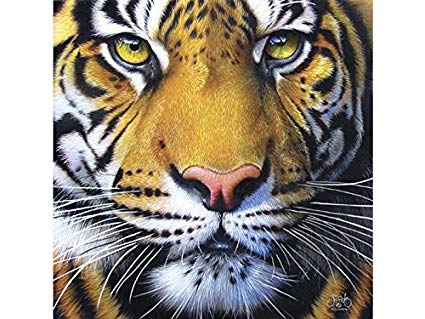 Tigre puzzle