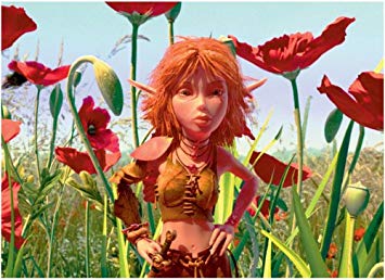 Puzzle coquelicot