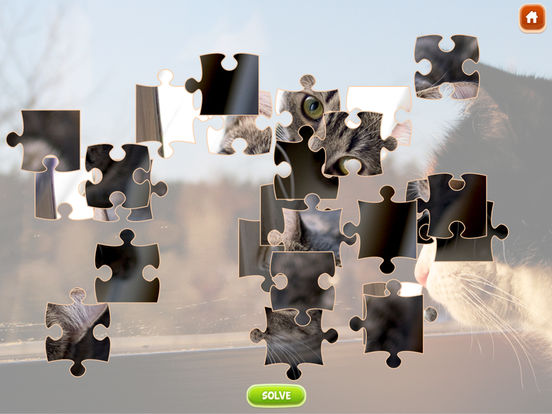 Jeux de puzzle gratuits pour adultes