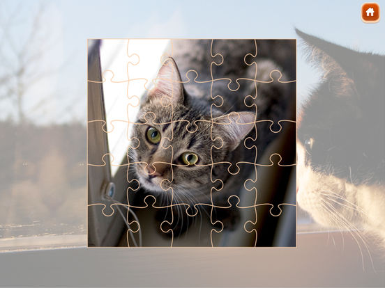 Jeux puzzle gratuit pour adultes