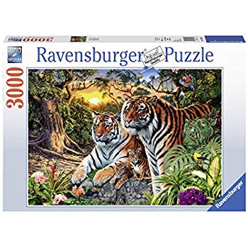 Puzzle 3000 pièces amazon