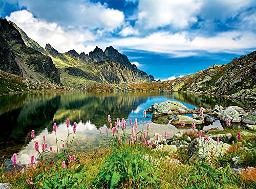 Puzzle gratuit paysage de france