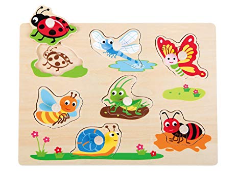 Puzzle insecte