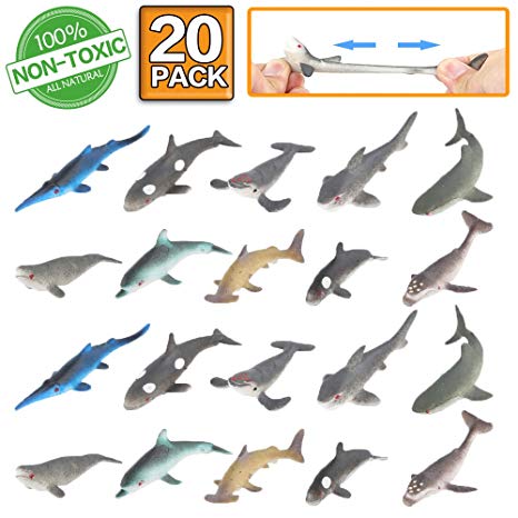 Jeux de société requin baleine