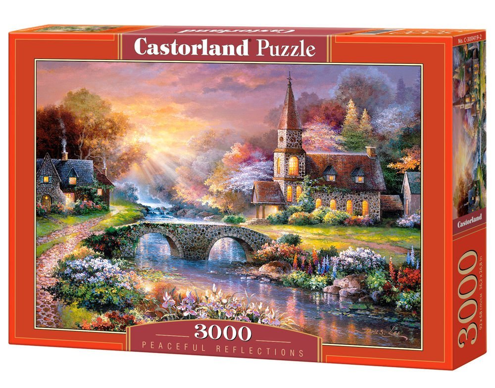 Avis puzzle castorland